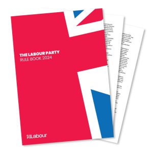 LABOUR PARTY RULE BOOK visual data 4