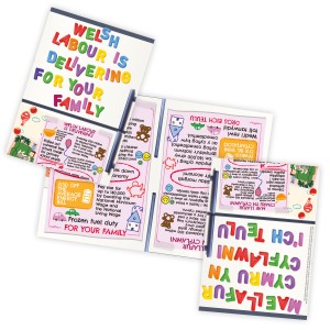 Welsh Labour is Delivering for Families leaflet