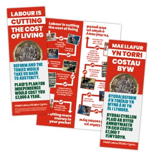 Welsh November 2025 National Campaign Weekend leaflet